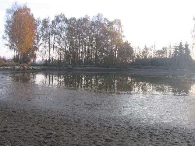 10-vylov-rybnika-29.10.2010 137